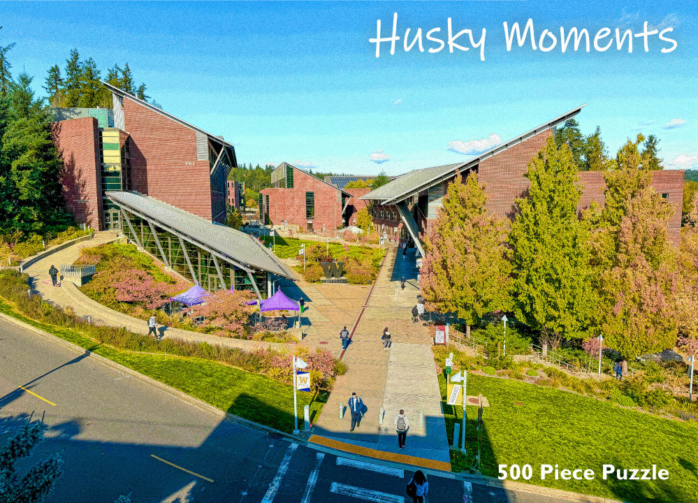 Puzzle - UW Bothell Plaza