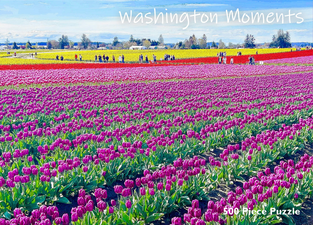 Puzzle - Walking the Colors