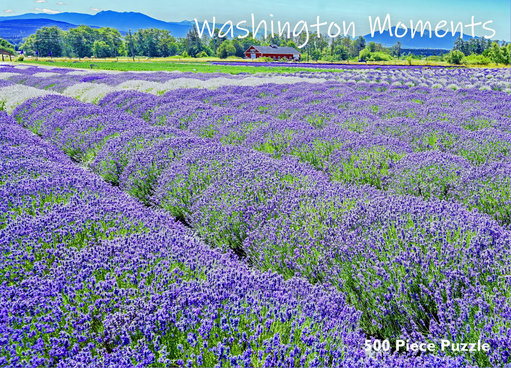Puzzle - Sequim Lavender Fields